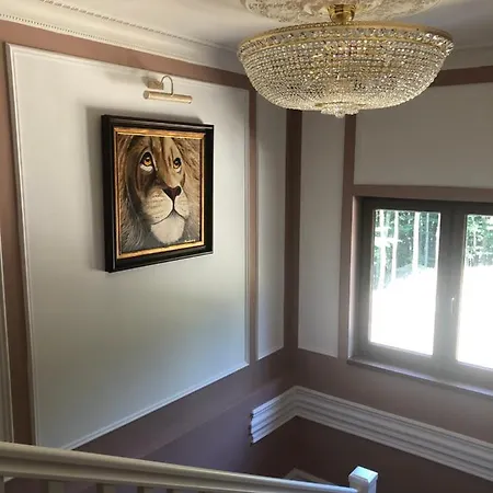 Galeria Pezinska Baba بيزينوك