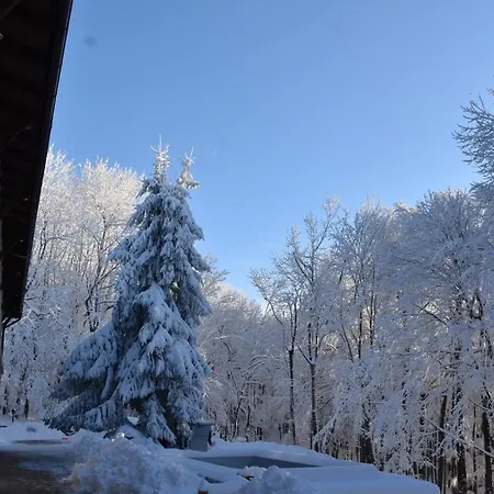 Galeria Pezinska Baba