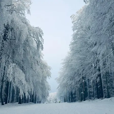 Hotel Galeria Pezinska Baba