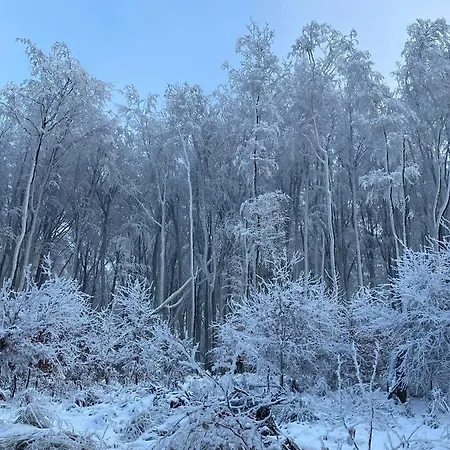 Hotel Galeria Pezinska Baba