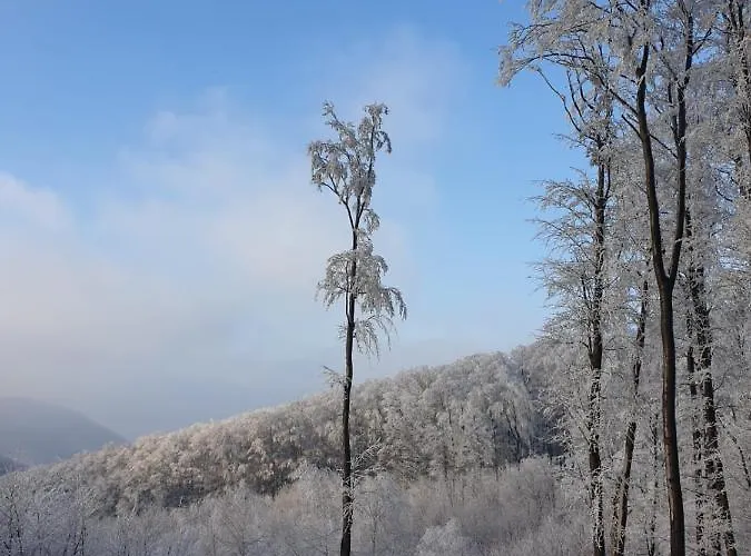 호텔 Galeria Pezinska Baba 베즈녹